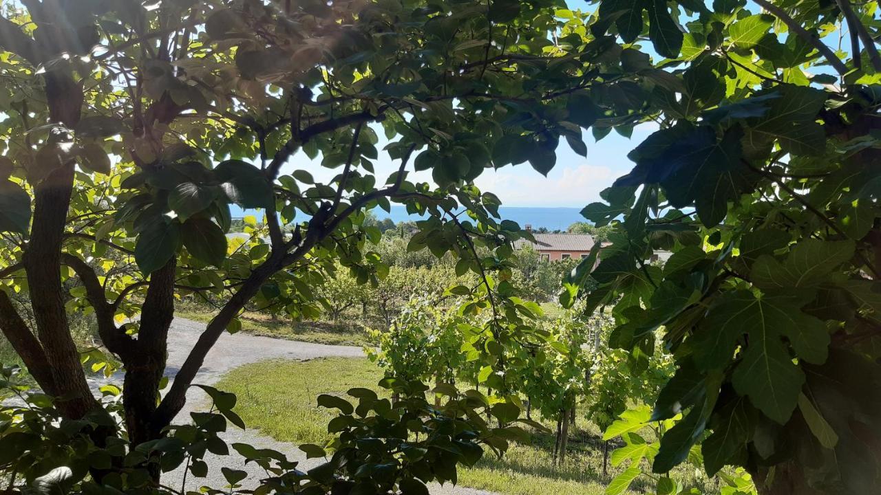 Apartma Tul Izola Luaran gambar